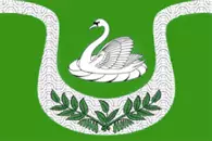 falileevo flag