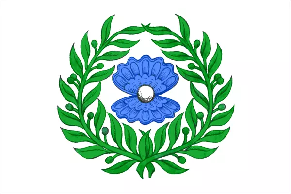 neznovo flag