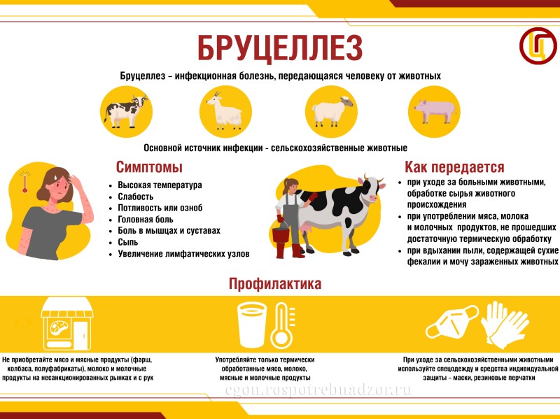 Бруцеллез