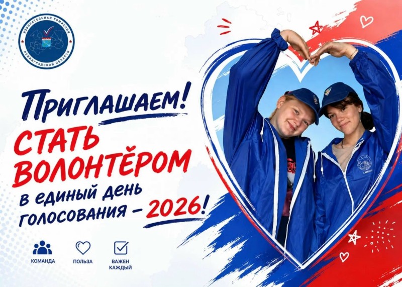 «Волонтёры на выборах»